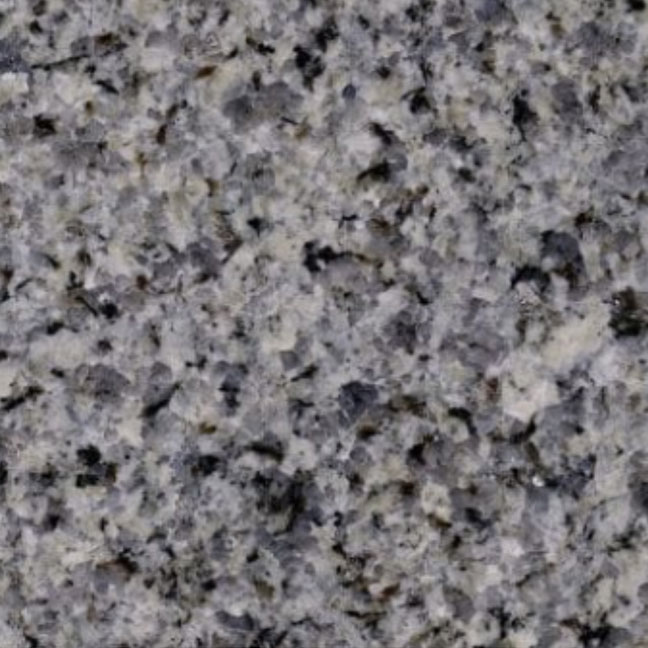 classic_program_azul_platino_detail